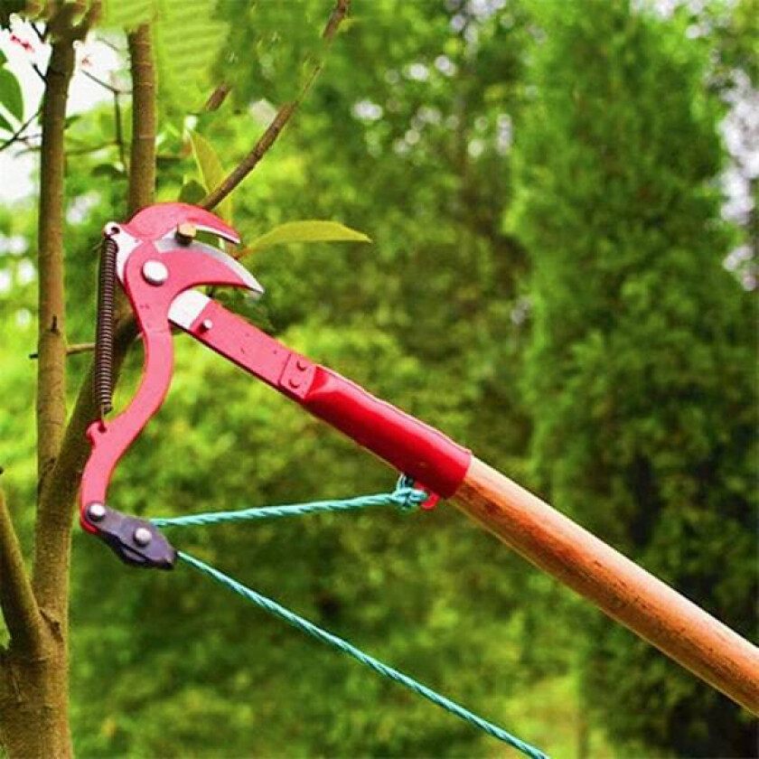 Piao Branch Hekksaks Hagebusk Stangbeskjæringsverktøysett Forbruksvarer Saks Klippere Håndplanter Kutter Høy Gren Saks, Høy Høyde Saks, Gren