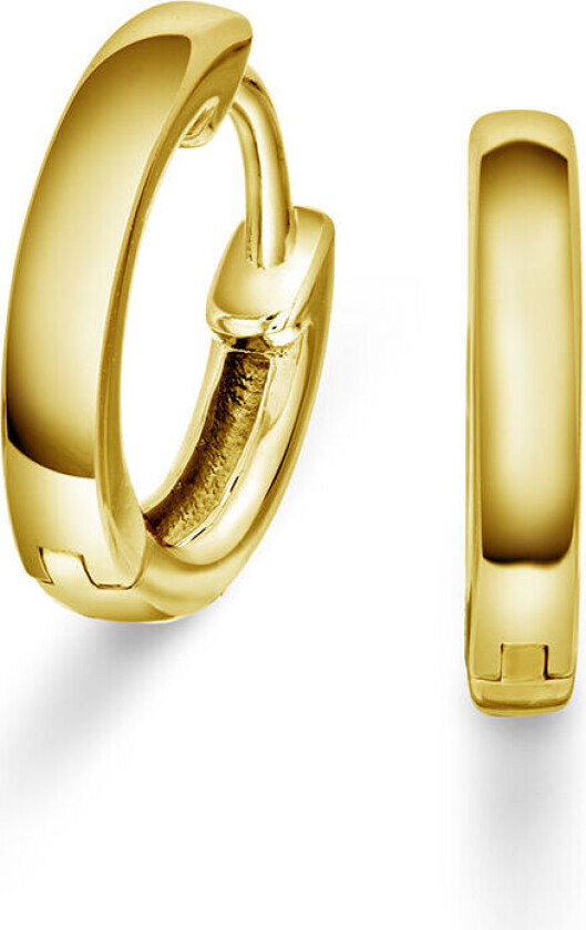 , Øreringer i forgylt sølv