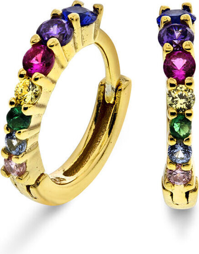 , Øredobber i forgylt sølv med zirkonia