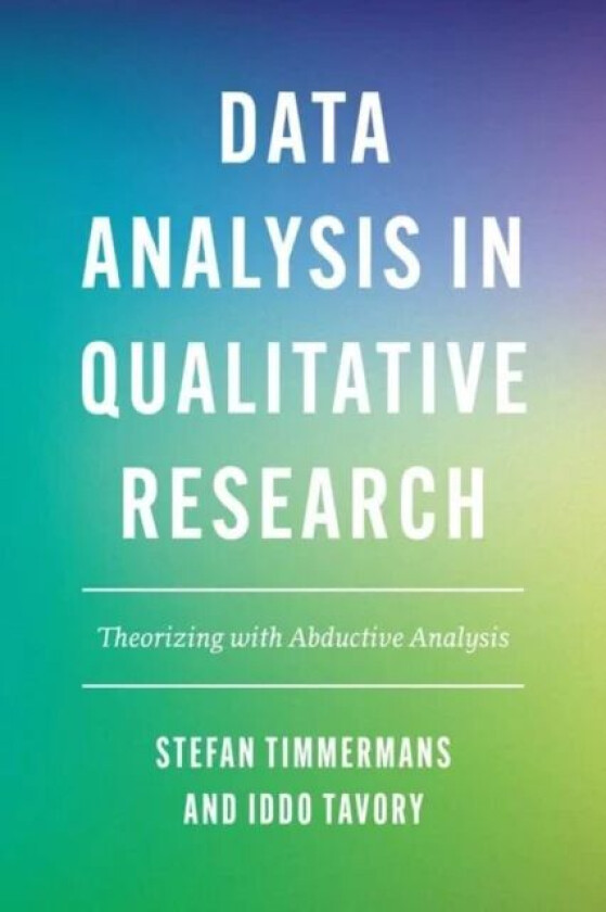 Data Analysis in Qualitative Research av Stefan Timmermans, Iddo Tavory