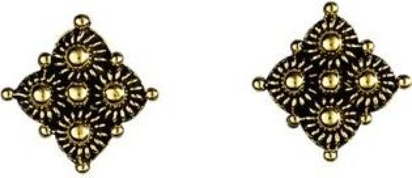 Bilde av Øredobber Telemark i 830 antikkforgylt sølv med kruser