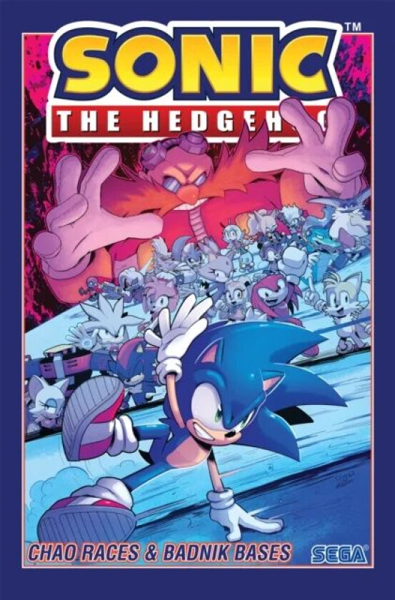 Sonic The Hedgehog, Vol. 9: Chao Races & Badnik Bases av Evan Stanley