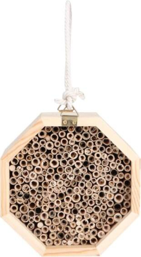 Wooden Insect Bee House Tre Bug Room Hotel Hekkeboks for utendørs hage dekorasjon