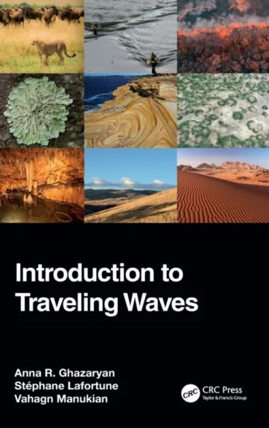 Introduction to Traveling Waves av Anna R. Ghazaryan, Stephane (College of Charleston USA) Lafortune, Vahagn (Miami University USA) Manukian