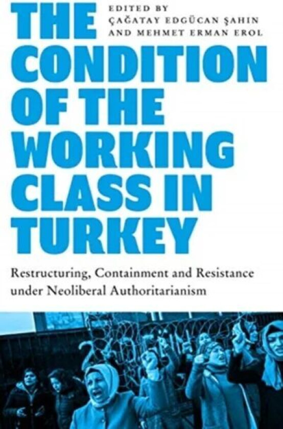 The Condition of the Working Class in Turkey