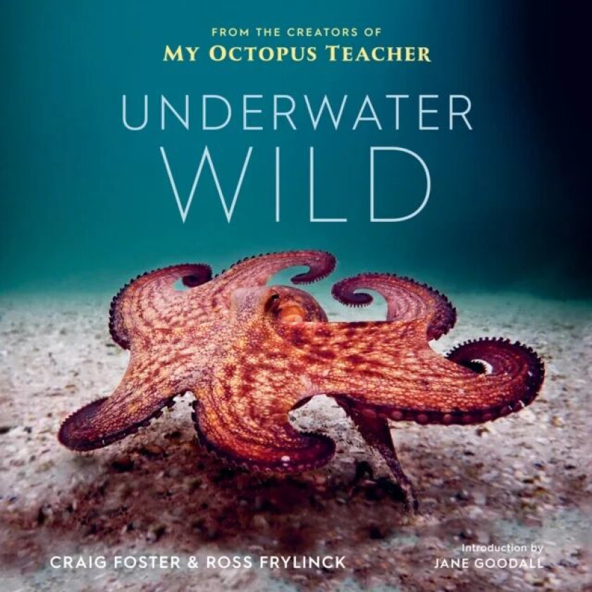 Underwater Wild av Craig Foster, Ross Frylinck