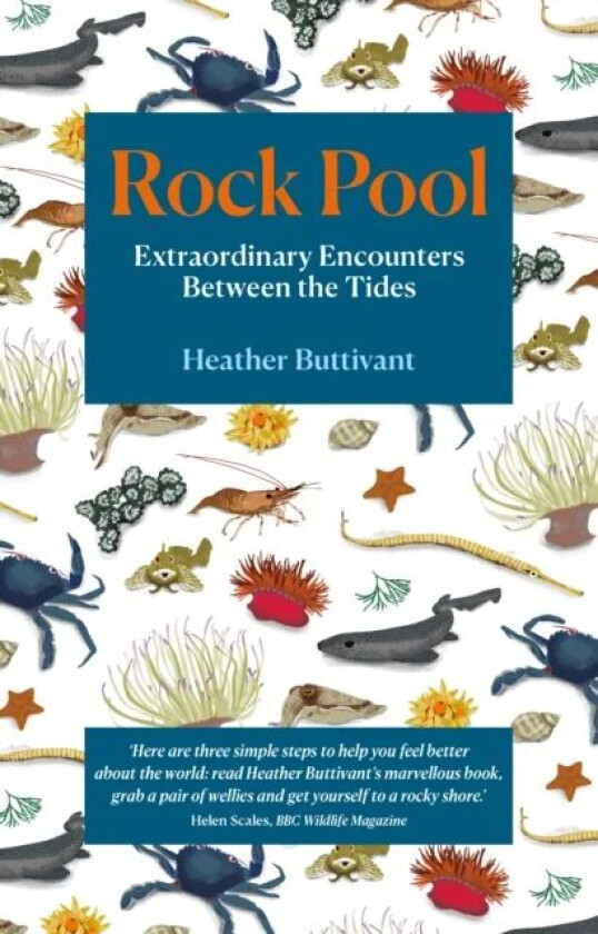 Rock Pool av Heather Buttivant