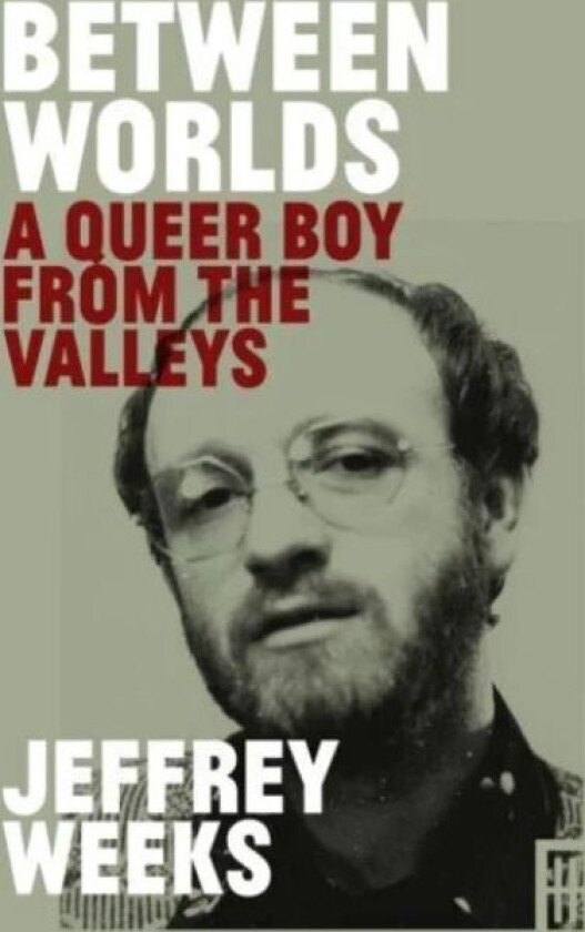 Between Worlds av Jeffrey Weeks