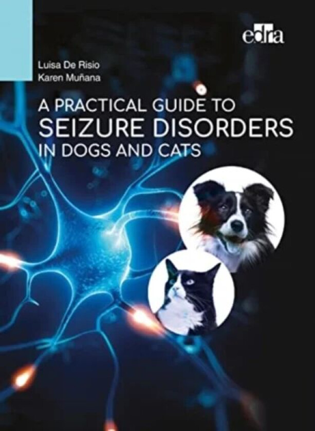 A Practical Guide to Seizure Disorders in Dogs and Cats av Luisa De Risio, Karen Munana