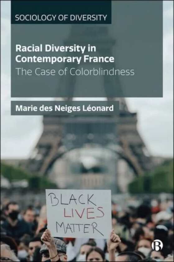 Racial Diversity in Contemporary France av Marie des (Ecole Polytechnique) Neiges Leonard