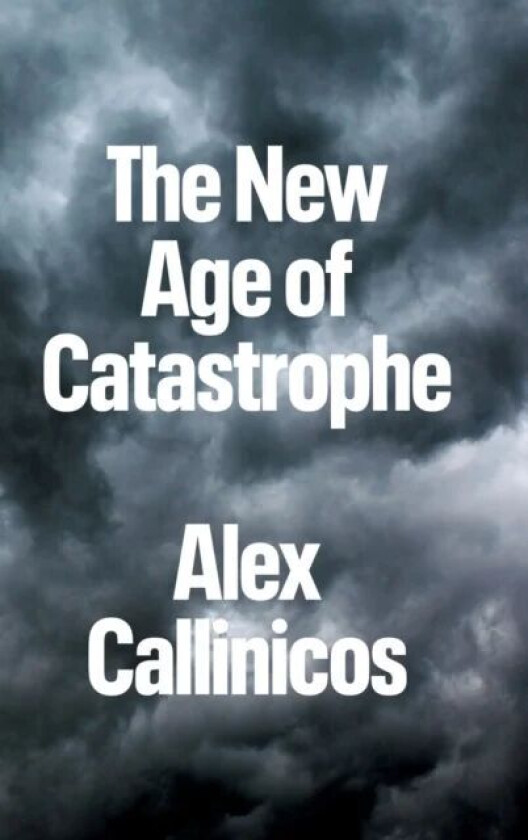 The New Age of Catastrophe av Alex (University of York) Callinicos