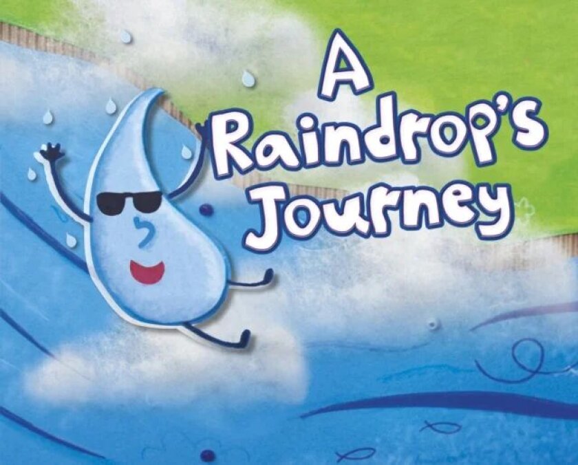 A Raindrop's Journey av Suzanne Slade