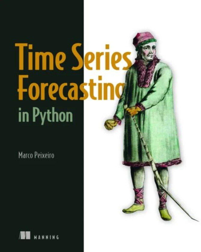 Time Series Forecasting in Python av Marco Peixeiro