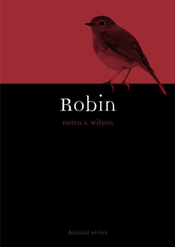 Robin av Helen F Wilson
