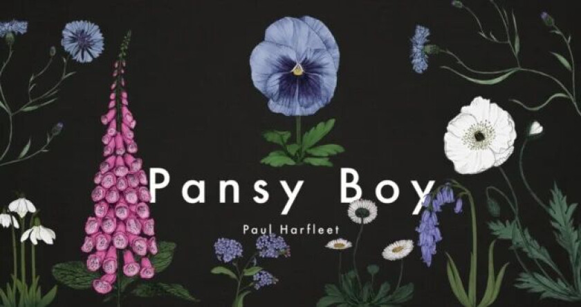Pansy Boy av Paul Harfleet