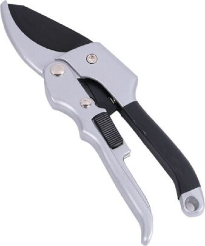 Astsaks Ambossaks Hekksaks Hage Astsaks