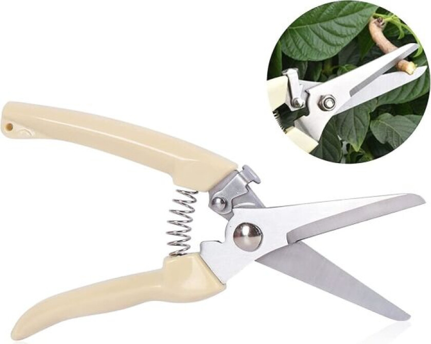 Hagesaks for planter, hagesaks for beskjæring av blomster, håndbeskjæringssaks for hagearbeid, beskjæringssaks