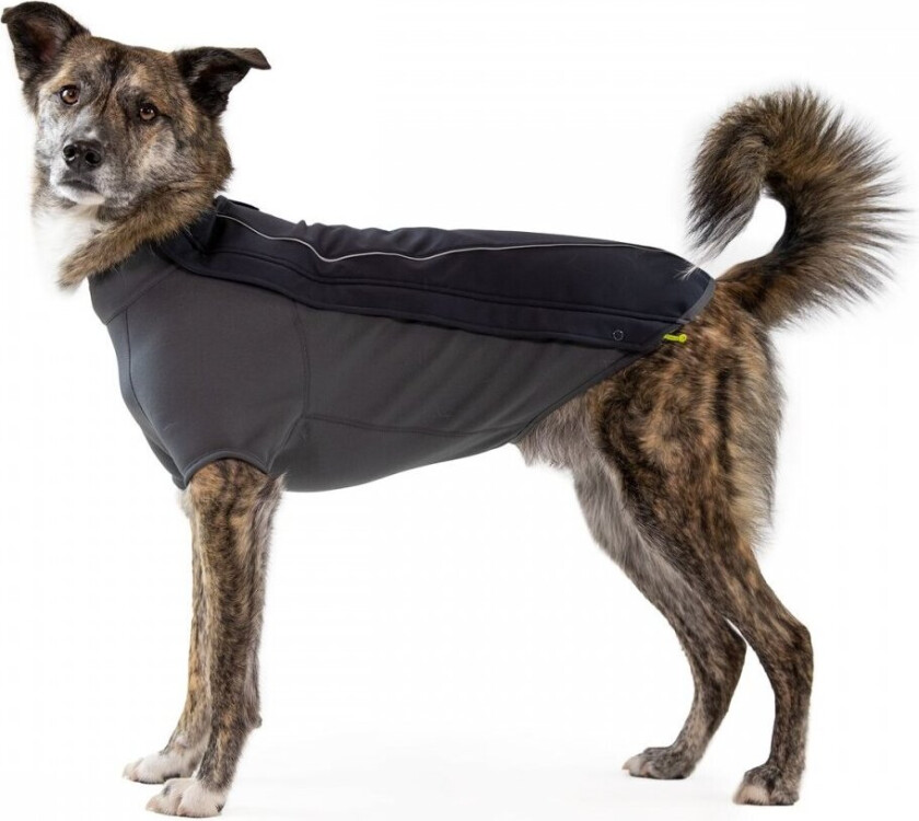 Ruffwear Cloud Chaser Hundejakke Svart (M)