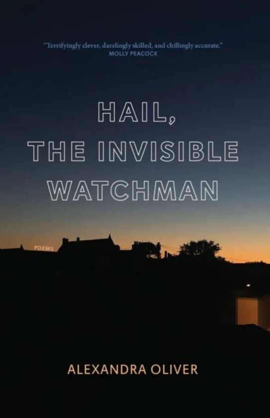Hail, The Invisible Watchman av Alexandra Oliver