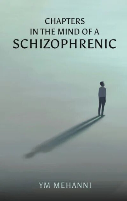 Chapters in the Mind of a Schizophrenic av YM Mehanni