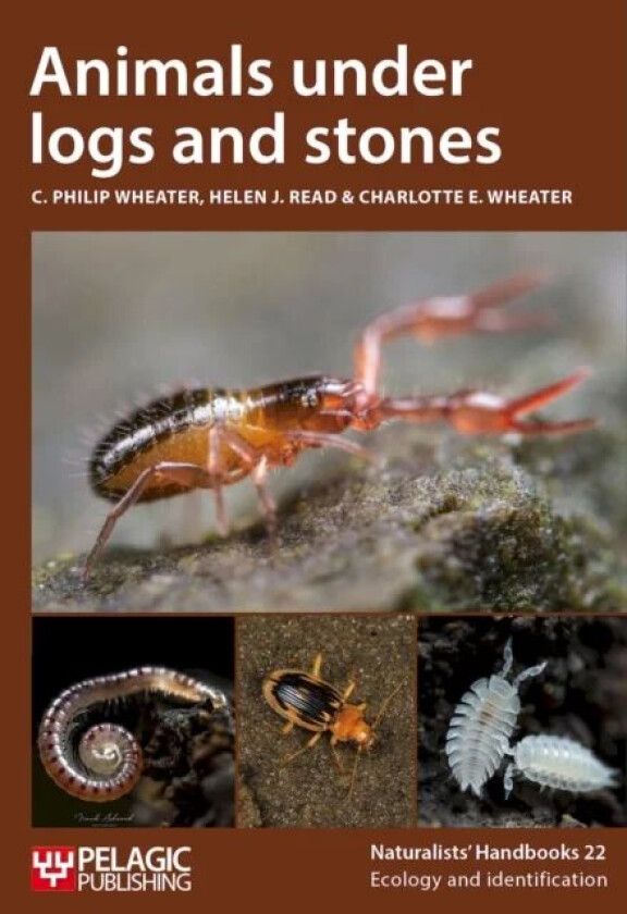 Animals under logs and stones av C. Philip Wheater, Helen J. Read, Charl Wheater