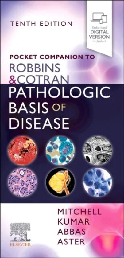 Pocket Companion to Robbins & Cotran Pathologic Basis of Disease av Vinay (Professor and Chairman Department of Pathology University of Chicago Pr