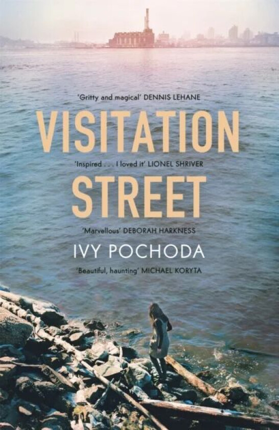 Visitation Street av Ivy Pochoda