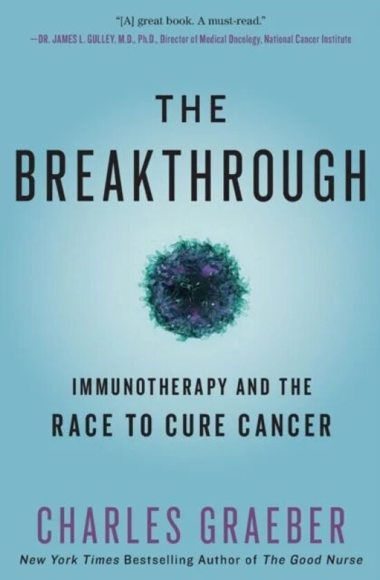 The Breakthrough av Charles Graeber