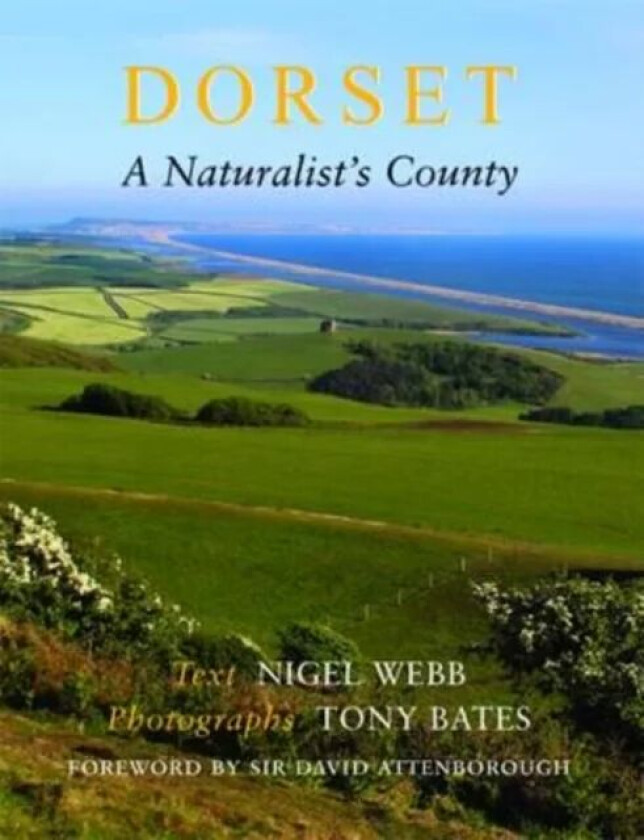 Dorset, a Naturalist&#039;s County av Nigel R. Webb, Tony Bates