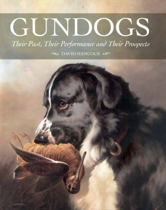 Gundogs av David Hancock