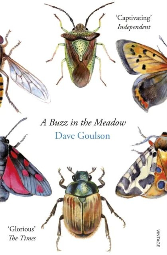 A Buzz in the Meadow av Dave Goulson