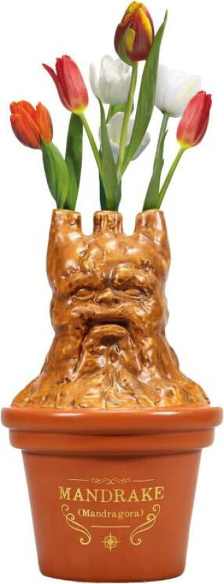 - Mandrake Shaped Vase (5261TTVHP07)