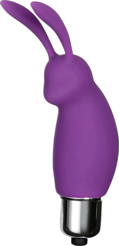 Teasing Rabbit Vibrator Beauty Women Sex And Intimacy Vibrators Purple