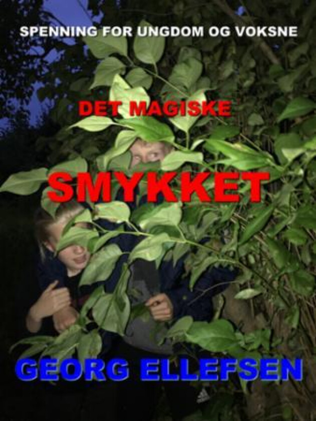 Det magiske smykket av Georg Ellefsen