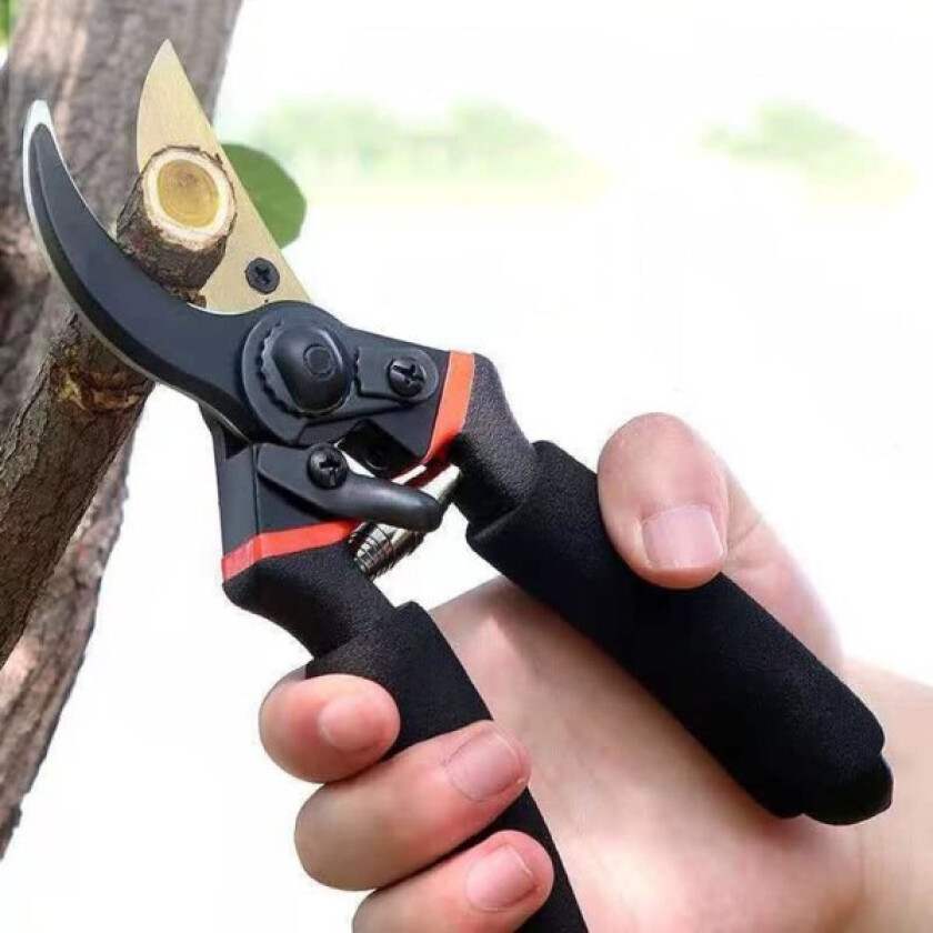 Plante Trim Horticulture beskjæringssaks Klippesaks busk Hagesaks
