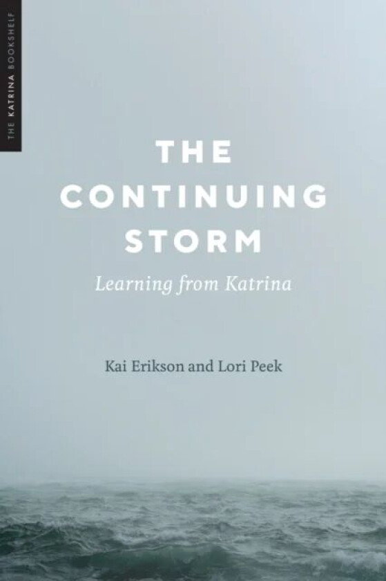The Continuing Storm av Kai Erikson, Lori Peek