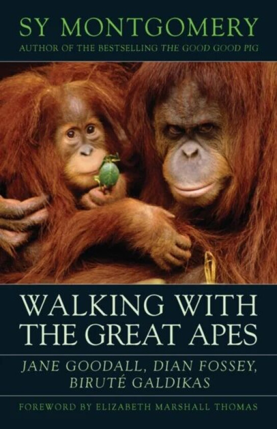 Walking with the Great Apes av Sy Montgomery