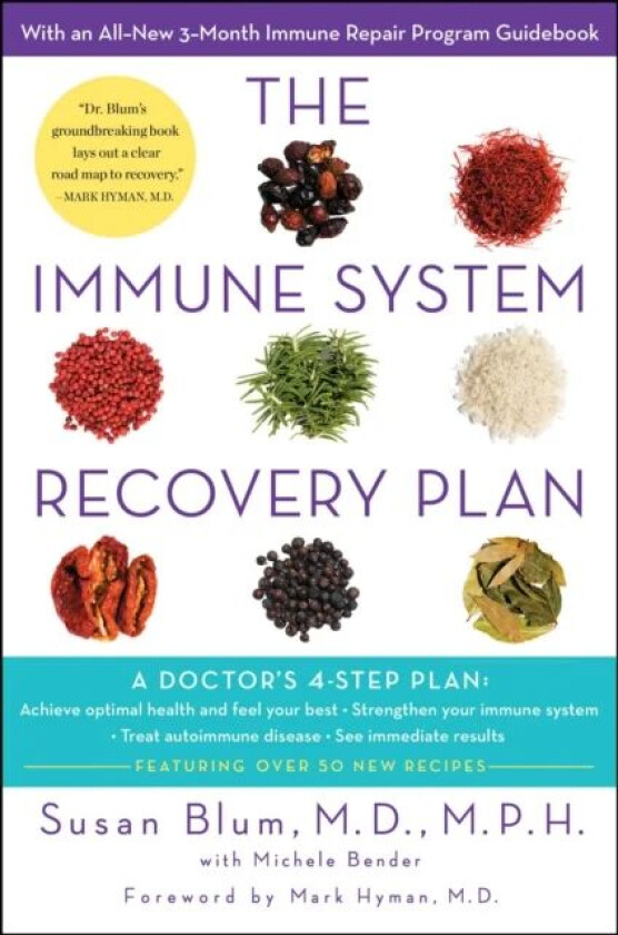 The Immune System Recovery Plan av Susan Blum