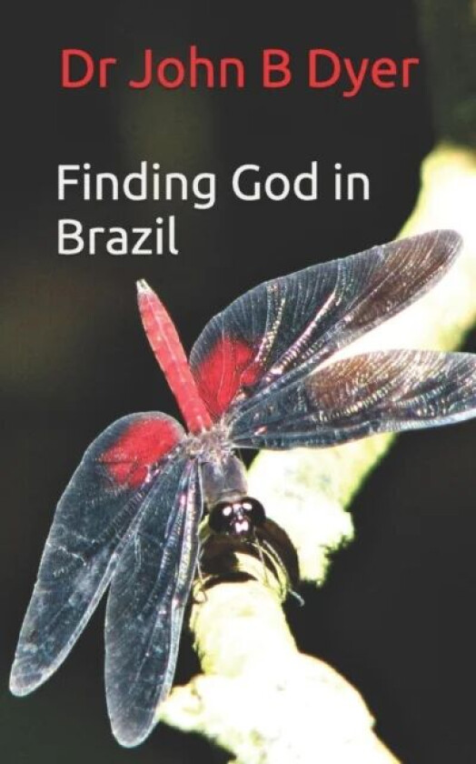 Finding God in Brazil av Dr John Barry Dyer
