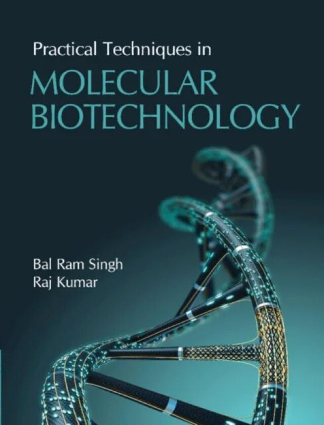 Practical Techniques in Molecular Biotechnology av Bal Ram Singh, Raj Kumar