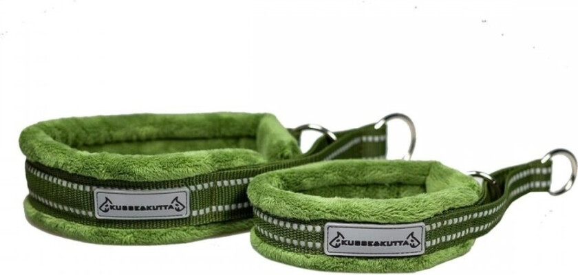 Hundehalsbånd Fluffy Grønn (4)
