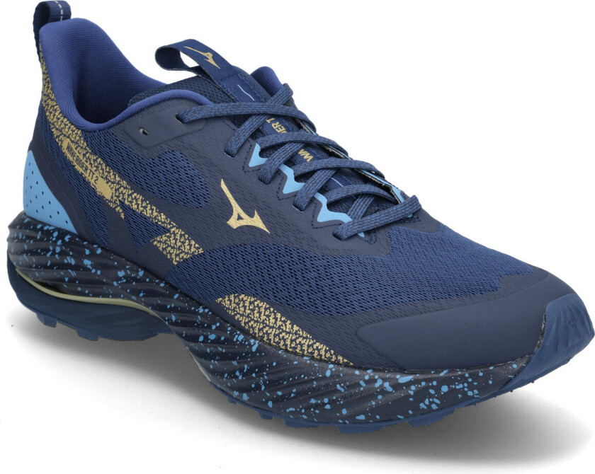 Wave Rider Tt 2 Sport Men Sport Shoes Sport Running Shoes Navy Mizuno