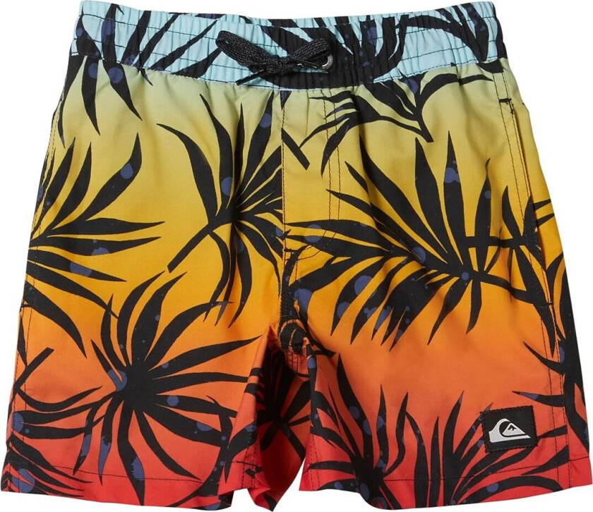 Everyday Mix Volley Boy 12 Badeshorts Multi/patterned Quiksilver