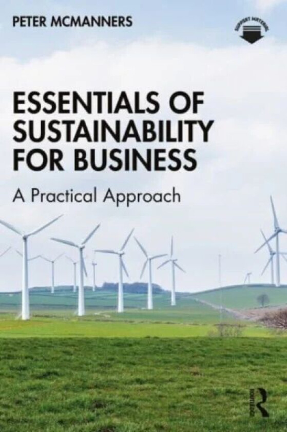 Essentials of Sustainability for Business av Peter McManners