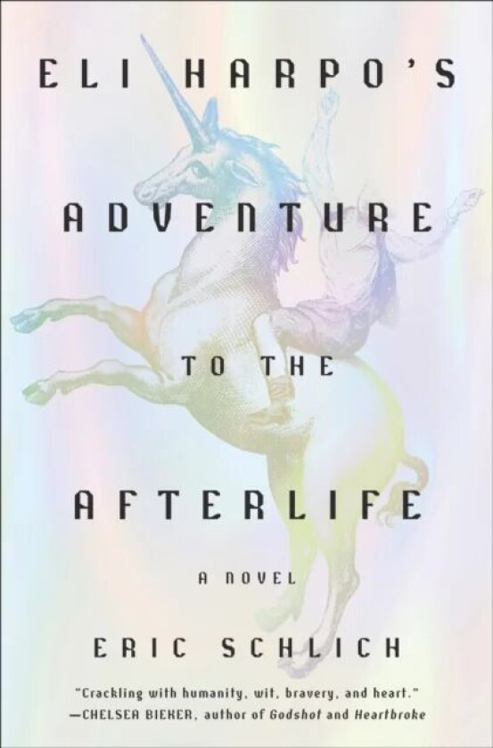 Eli Harpo's Adventure to the Afterlife av Eric Schlich