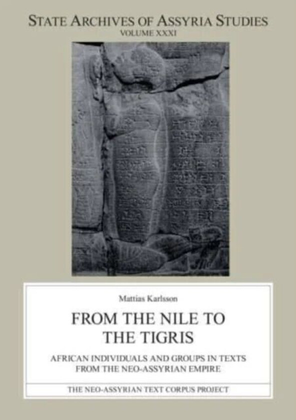 From the Nile to the Tigris av Mattias Karlsson