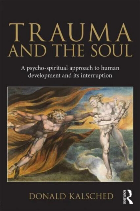 Trauma and the Soul av Donald Kalsched