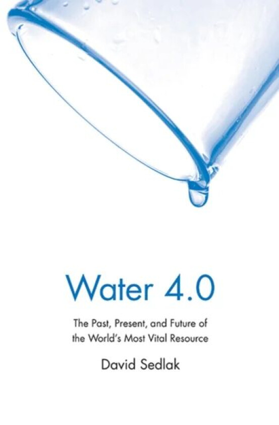 Water 4.0 av David Sedlak
