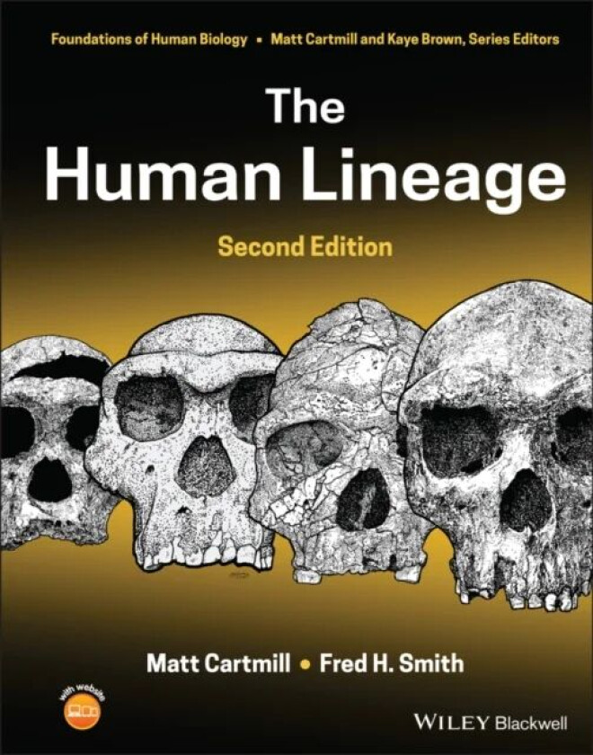 The Human Lineage av Matt (Boston University) Cartmill, Fred H. (Illinois State University) Smith