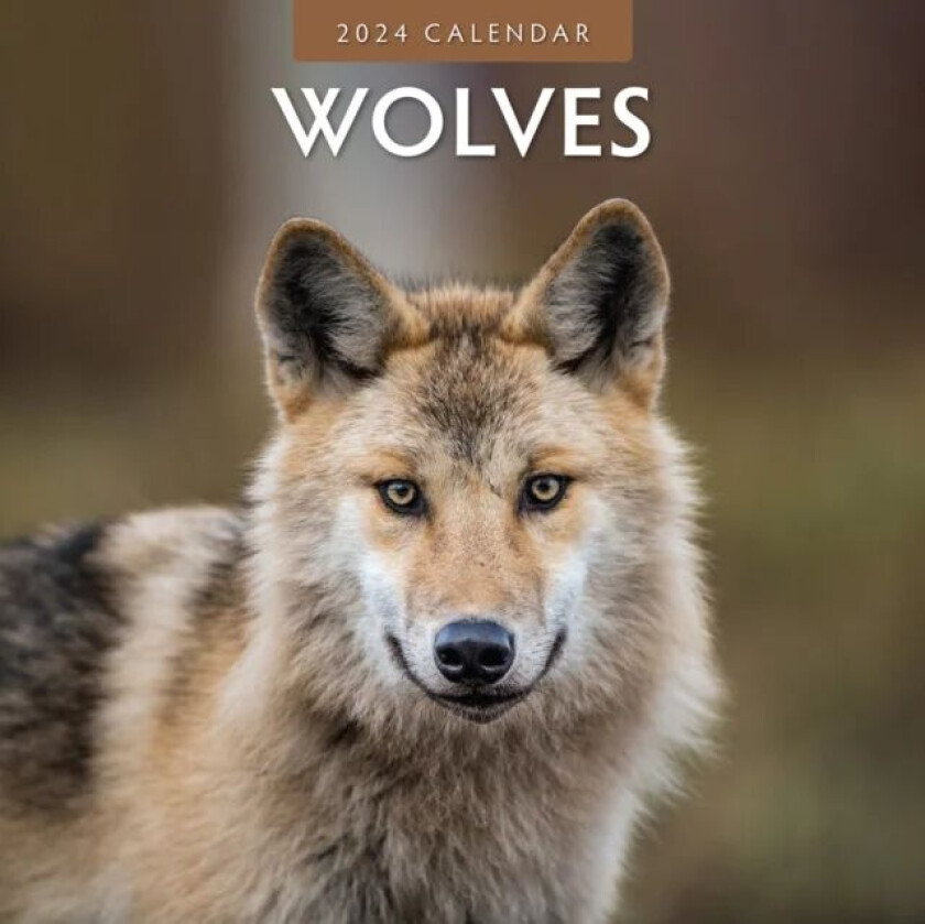 Wolves 2024 Square Wall Calendar av Red Robin Publishing Ltd.